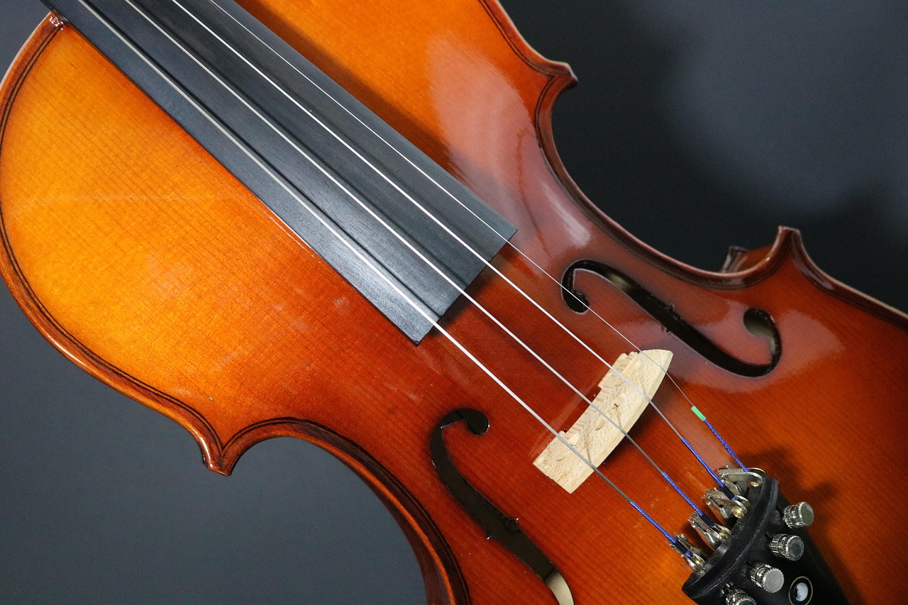 violin-2478783_1280